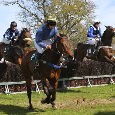 Les pronostics hippiques de Sébastien Mortagne : Samedi 15 Novembre