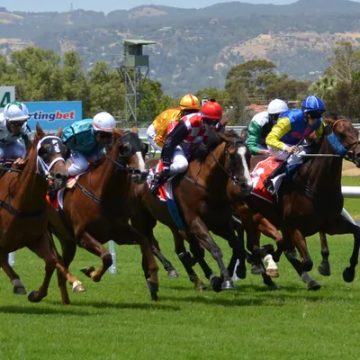 Les pronostics hippiques de Sébastien Mortagne : Jeudi 11 décembre