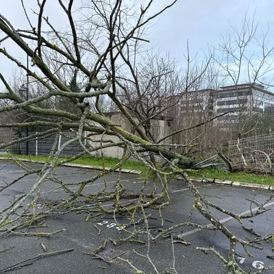 Tempête Nils : 135 000 foyers privés d'électricité en Haute-Garonne