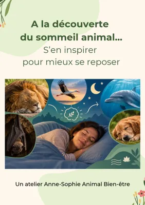 A la découverte du sommeil animal : s'en inspirer, pour mieux se...