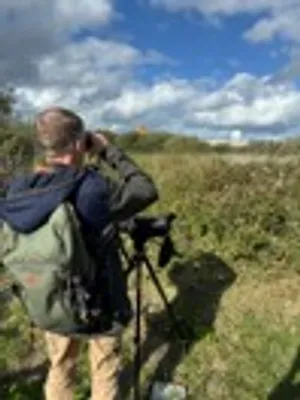 Observation des oiseaux migrateurs sur le site ArcelorMittal Mardyck