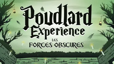 Poudlard Experience : les forces obscures