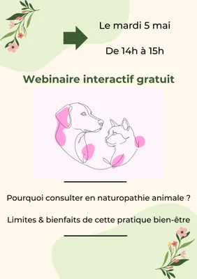 Pourquoi consulter en naturopathie animale? Limites et bienfaits de...