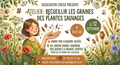 RECUEILLIR LES GRAINES DES PLANTES SAUVAGES