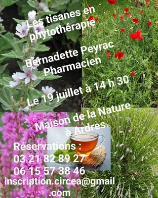 LES TISANES EN PHYTOTHERAPIE