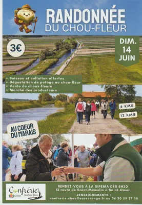 Randonnée du chou fleur