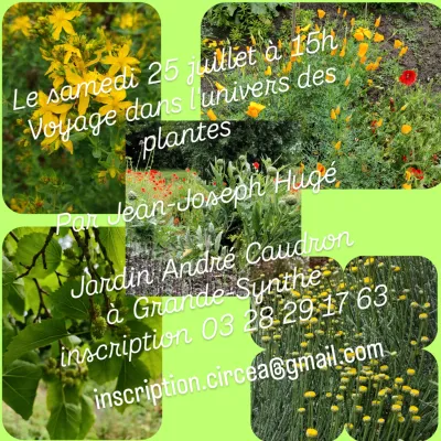 VOYAGE DANS L'UNIVERS DES PLANTES