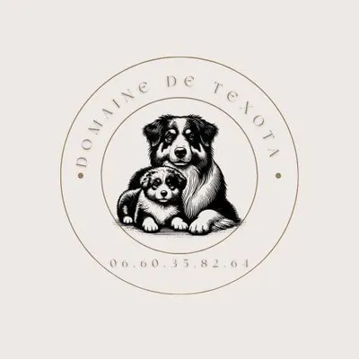 Evénement canin au Domaine de Texota