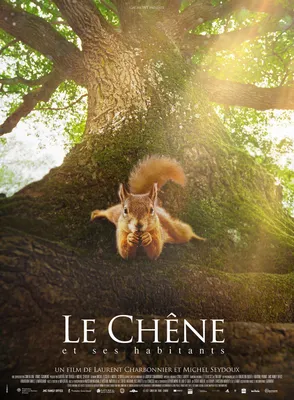 Projection documentaire "Le chêne et ses habitants"