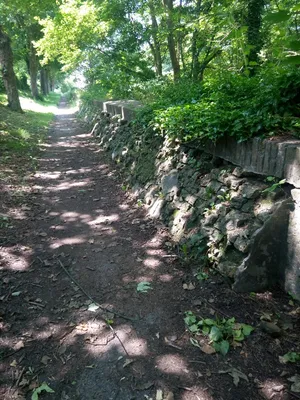 Bergues, entre ville et remparts