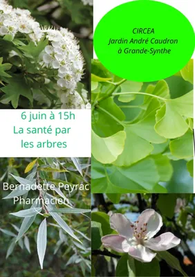 LA SANTE PAR LES ARBRES