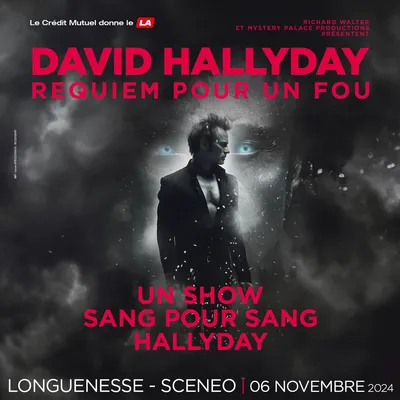 Requiem pour un fou - David Hallyday La tournée Cent pour Cent...