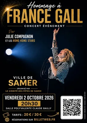 Hommage à France Gall 
