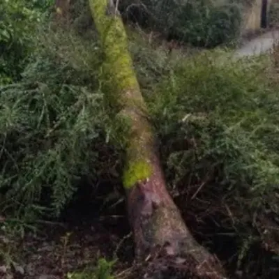 Les dégâts, les foyers encore privés d'électricité... les dernières...