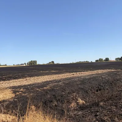 Auchy-les-Hesdin : un feu de bois se propage à une serre