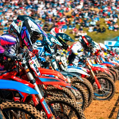 Motocross : les meilleurs pilotes et les meilleures animations...