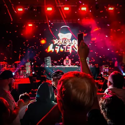 David Bowie, couleurs, concerts... le programme de la saison...