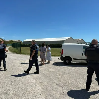 Outreau : deux chiens, dans une voiture en plein soleil, sauvée...