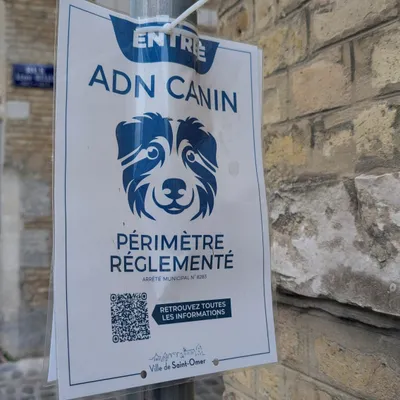 Quel bilan pour le dispositif d’ADN canin à Saint-Omer ?