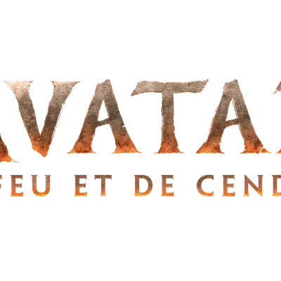 Cinémas de la région : Bilan 2025