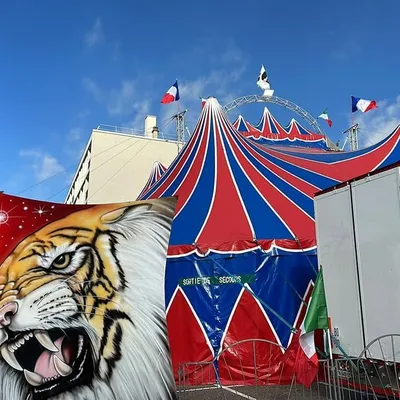 Le cirque Benzini, après Bray-Dunes, le chapiteau et la polémique...