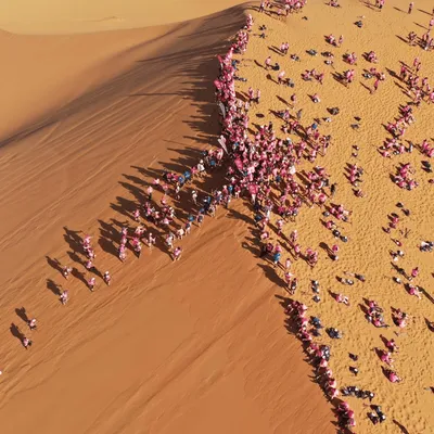 Un trek solidaire féminin pour lutter contre le cancer du sein 