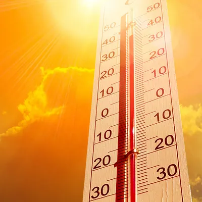 Canicule : les départements du  Nord et du Pas-de-Calais placés en...