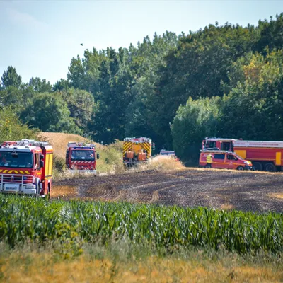 Neufchâtel-Hardelot : un incendie ravage une partie de la forêt...