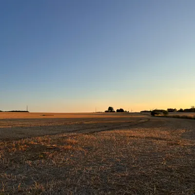 Thiembronne : des bâtiments agricoles ravagés par les flammes 