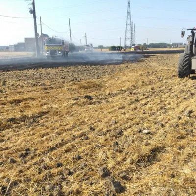 Plus d'un hectare de champs ravagé par un incendie à Spycker