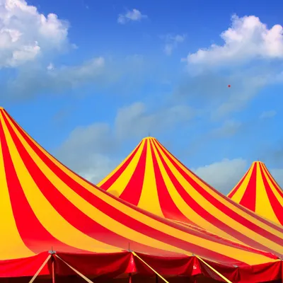 Bray-Dunes : pourquoi la mairie interdit l'ouverture du cirque...