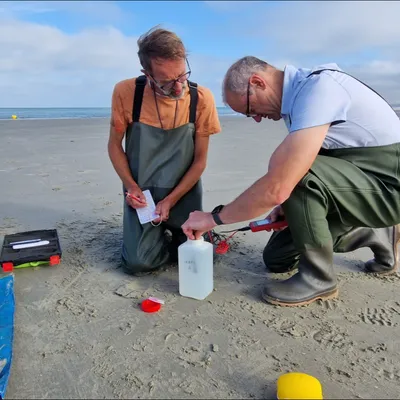 Wimereux : les chercheurs du CNRS observent une canicule marine...