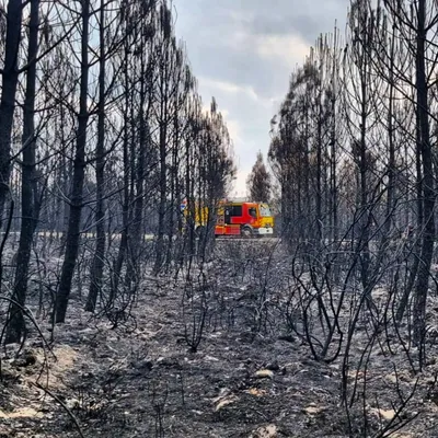 Risque incendie dans Nord : ce que vous ne pouvez plus faire 