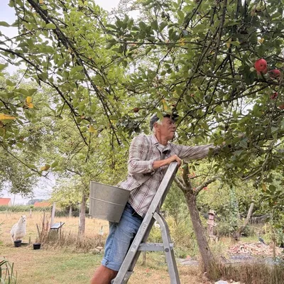 Nortkerque : face au défi climatique, la Fête de la Pomme revient...