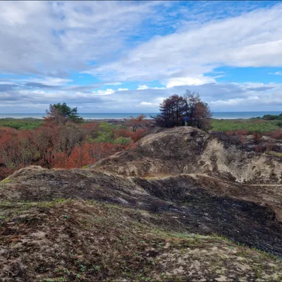 Dannes et Hardelot : après l’incendie, le mont Saint-Frieux va...