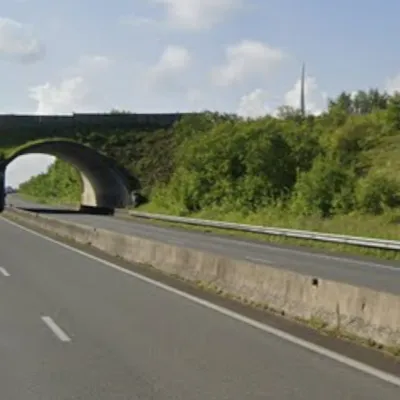 Lefaux : une voiture percute 7 sangliers sur l'A16