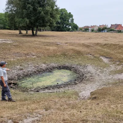 Dune fossile : le combat des gardes face à un écosystème assoiffé