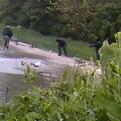 Saint-Folquin : encore une plainte dans l'affaire des canards...