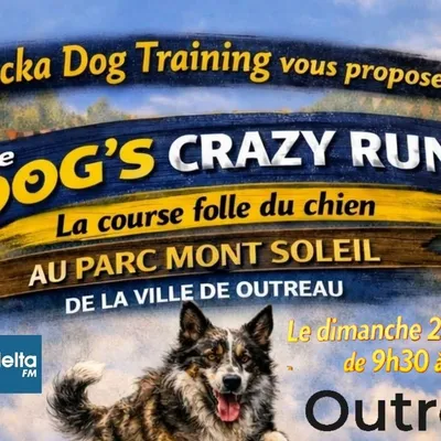 Outreau : 2ème édition de La Dog's Crazy Run dimanche 28 juin