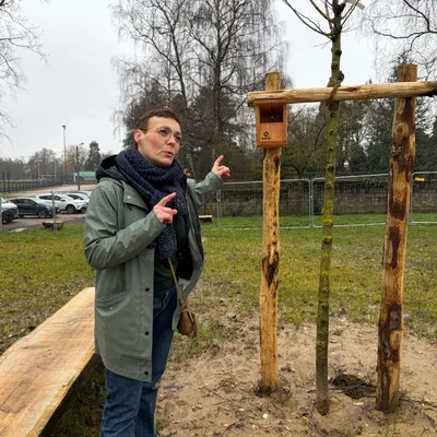 Lumbres : le chantier de renaturation de l'ancienne piscine se...
