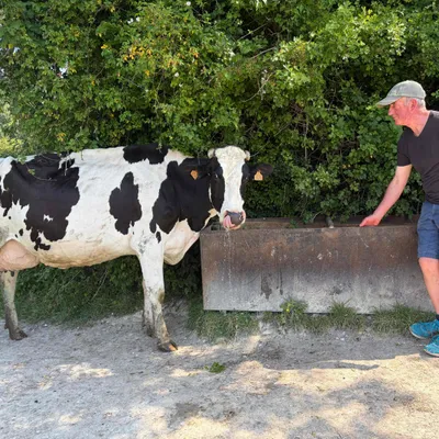 Alquines : les agriculteurs doivent s'adapter aux fortes chaleurs 