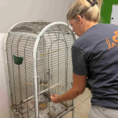 Saint-Omer : 80 animaux récupérés pour maltraitance, un fléau...