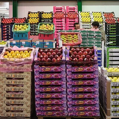 Le plus grand marché du frais au monde s’allie à Dunkerque : un...