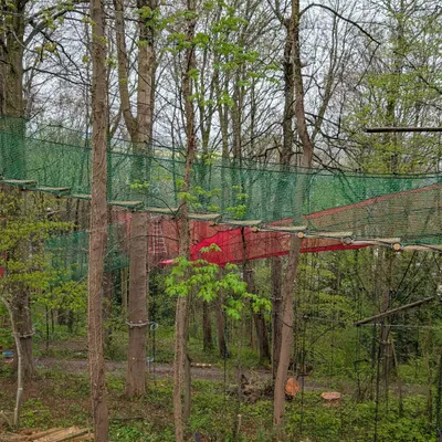 Nielles-lès-Bléquin : « une aire de jeux dans les arbres » en cours...