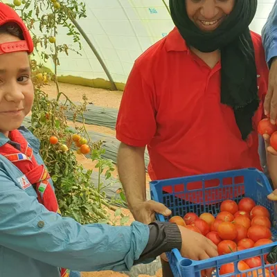 Gravelines : le Secours Populaire a fait reverdir le désert… et...