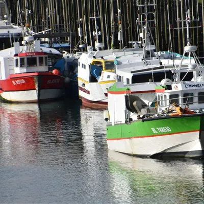 Boulogne, Dunkerque… Les pêcheurs Nordistes septiques sur les aides...