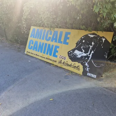 L’amicale canine de Grande-Synthe bientôt au cimetière…