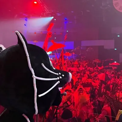 Carnaval 2026 : dernier Bal du Chat Noir pour le képi le plus sympa...