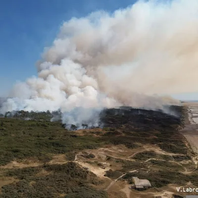 Incendies entre Dannes et Neufchâtel-Hardelot,  l'enquête avance