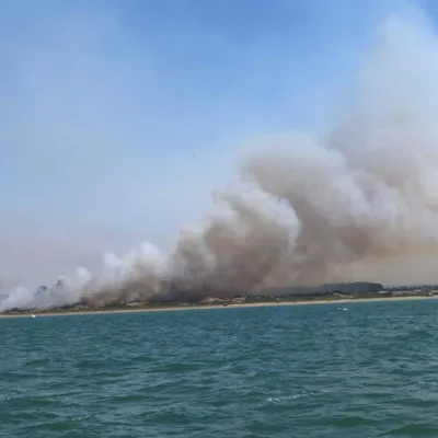Incendies entre Dannes et Neufchâtel-Hardelot, 180 hectares de...